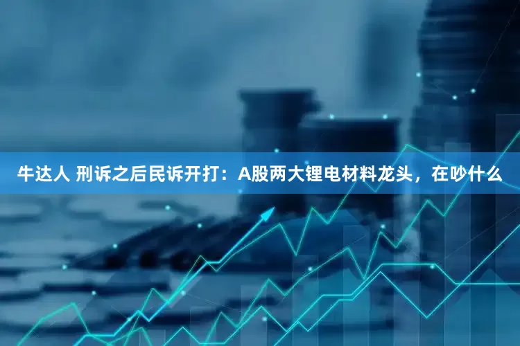 牛达人 刑诉之后民诉开打：A股两大锂电材料龙头，在吵什么