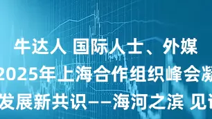 牛达人 国际人士、外媒记者热议2025年上海合作组织峰会凝聚发展新共识——海河之滨 见证和合（环球热点）